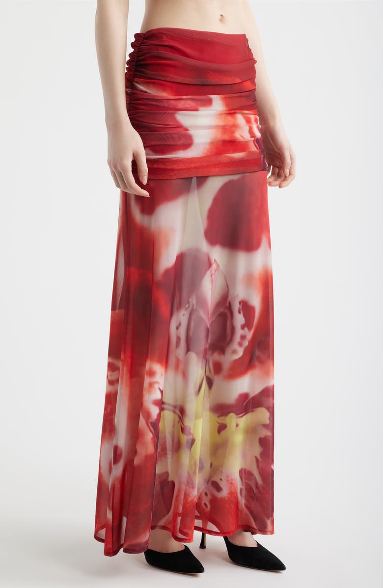 Feners Susurro Print Ruched Mesh Maxi Skirt, Alternate, color, Blush