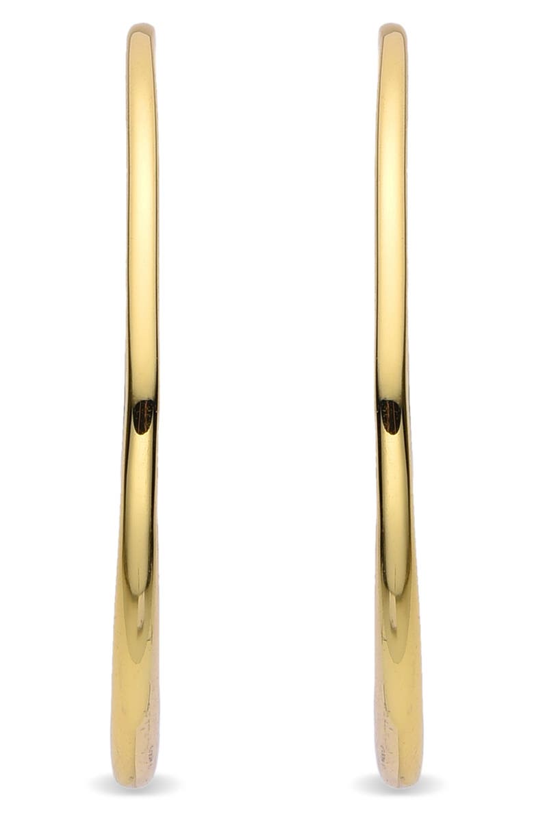 EYE CANDY LOS ANGELES Lisa Hoop Earrings, Alternate, color, Gold