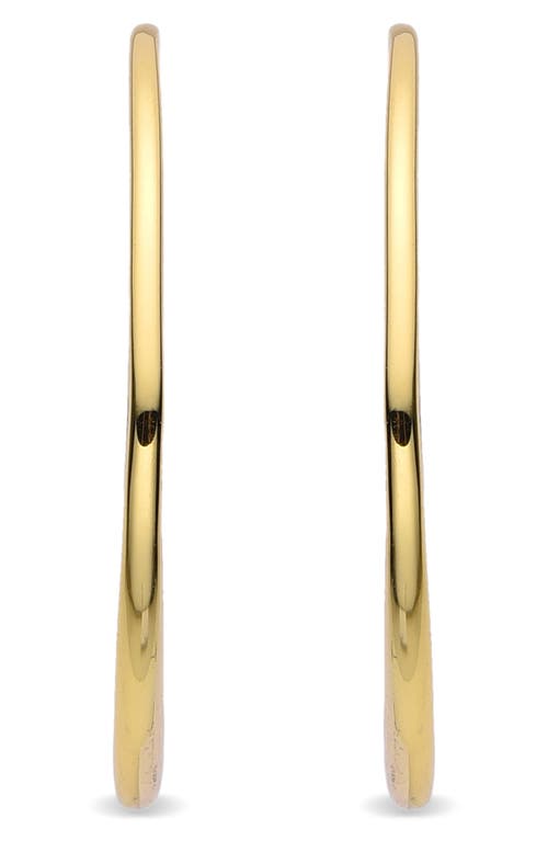 Eye Candy Los Angeles Lisa Hoop Earrings