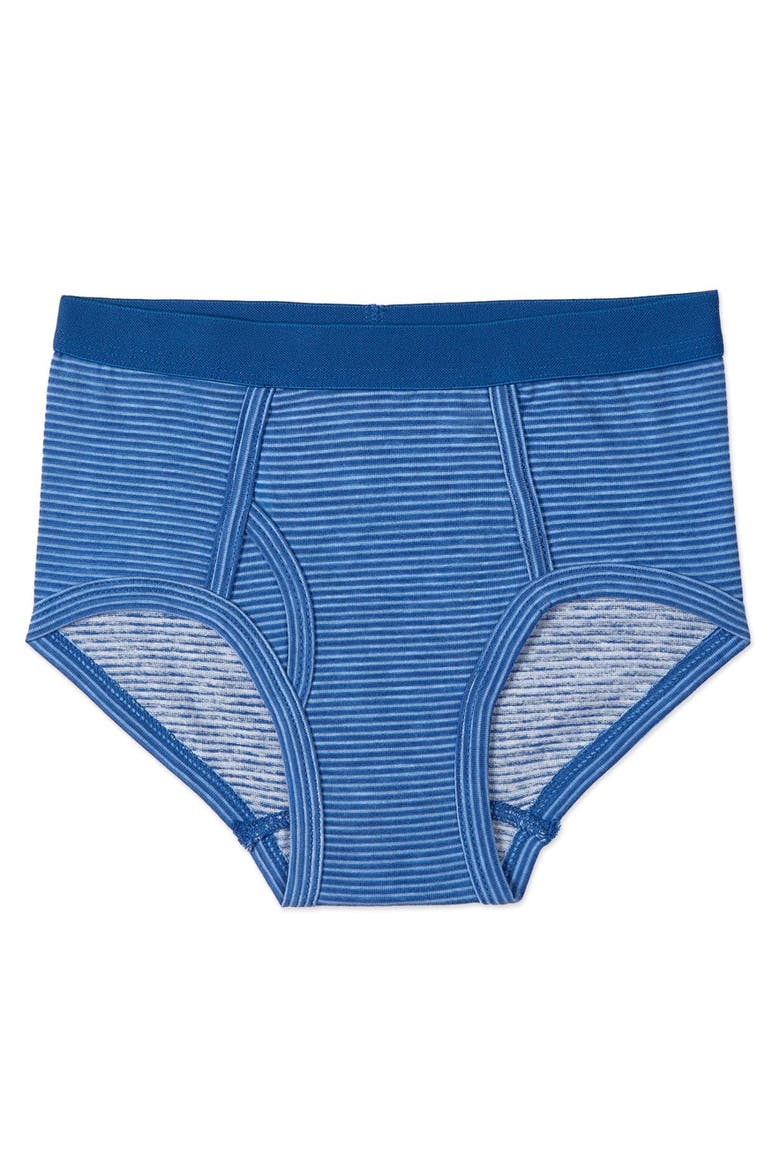 5 Pair Out Of The Blue Rich Briefs, Alternate, color, Blue Multi