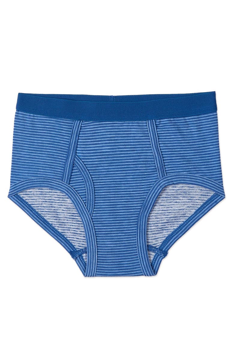 MeMoi 5 Pair Out Of The Blue Rich Briefs, Alternate, color, Blue Multi