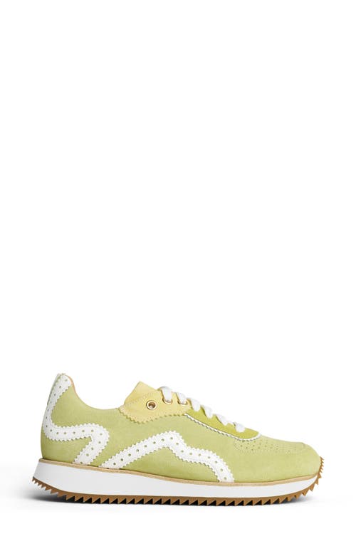 THE OFFICE OF ANGELA SCOTT THE OFFICE OF ANGELA SCOTT THE REMI SNEAKER