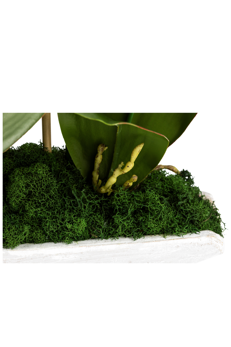 Ciara RealTouch Orchid Planter, Alternate, color, Snow