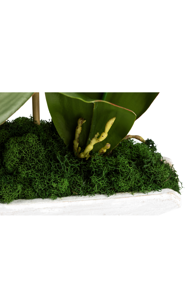 CocoBella Ciara RealTouch Orchid Planter, Alternate, color, Snow