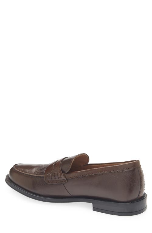 Steve Madden Draggo Penny Loafer In Brown