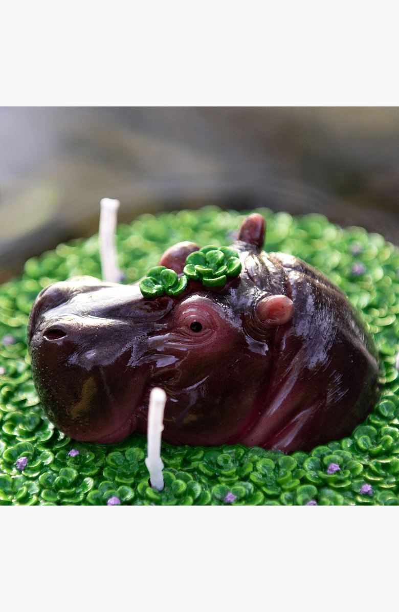 Southlake gifts Hippo Aromatherapy Scented Candle Bowl, Alternate, color, Brown / Purple / Green