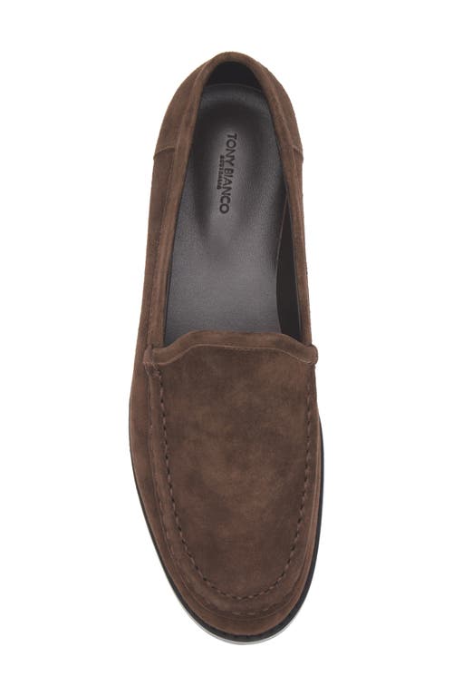 Tony Bianco Zoe Loafer In Espresso Suede