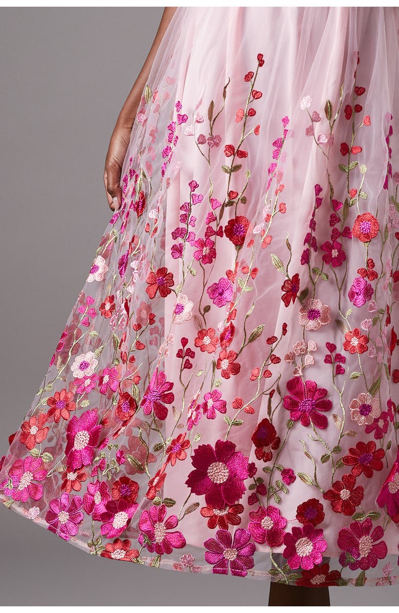 Coast Embroidered Mesh Midi Dress, Alternate, color, Pink