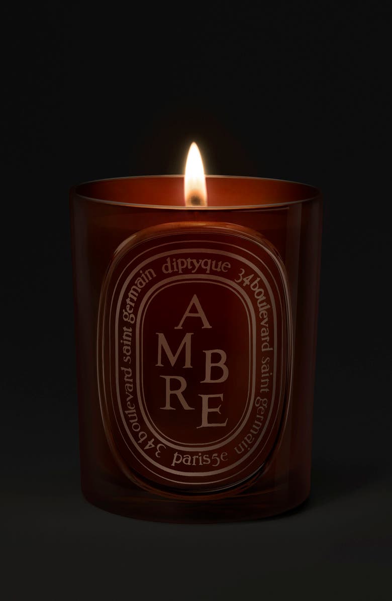 Diptyque Ambre (Amber) Medium Candle, Alternate, color, 