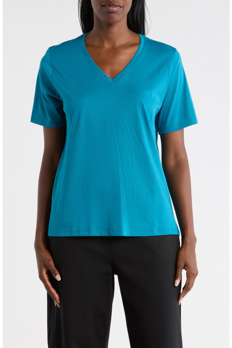 V-Neck Organic Cotton Knit T-Shirt, Main, color, DRAGONFLY