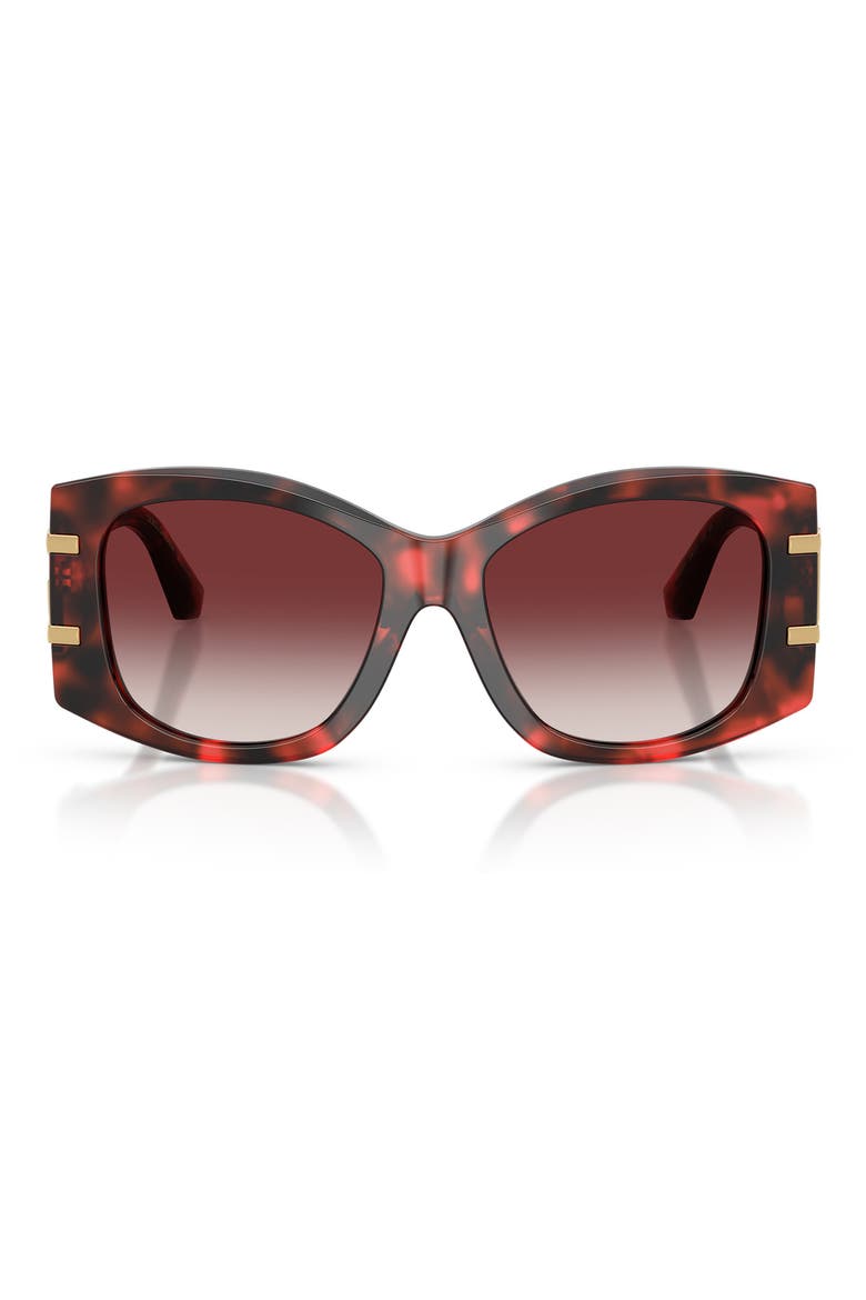 54mm Gradient Butterfly Sunglasses, Main, color, RED HAVANA / DARK BRANDY