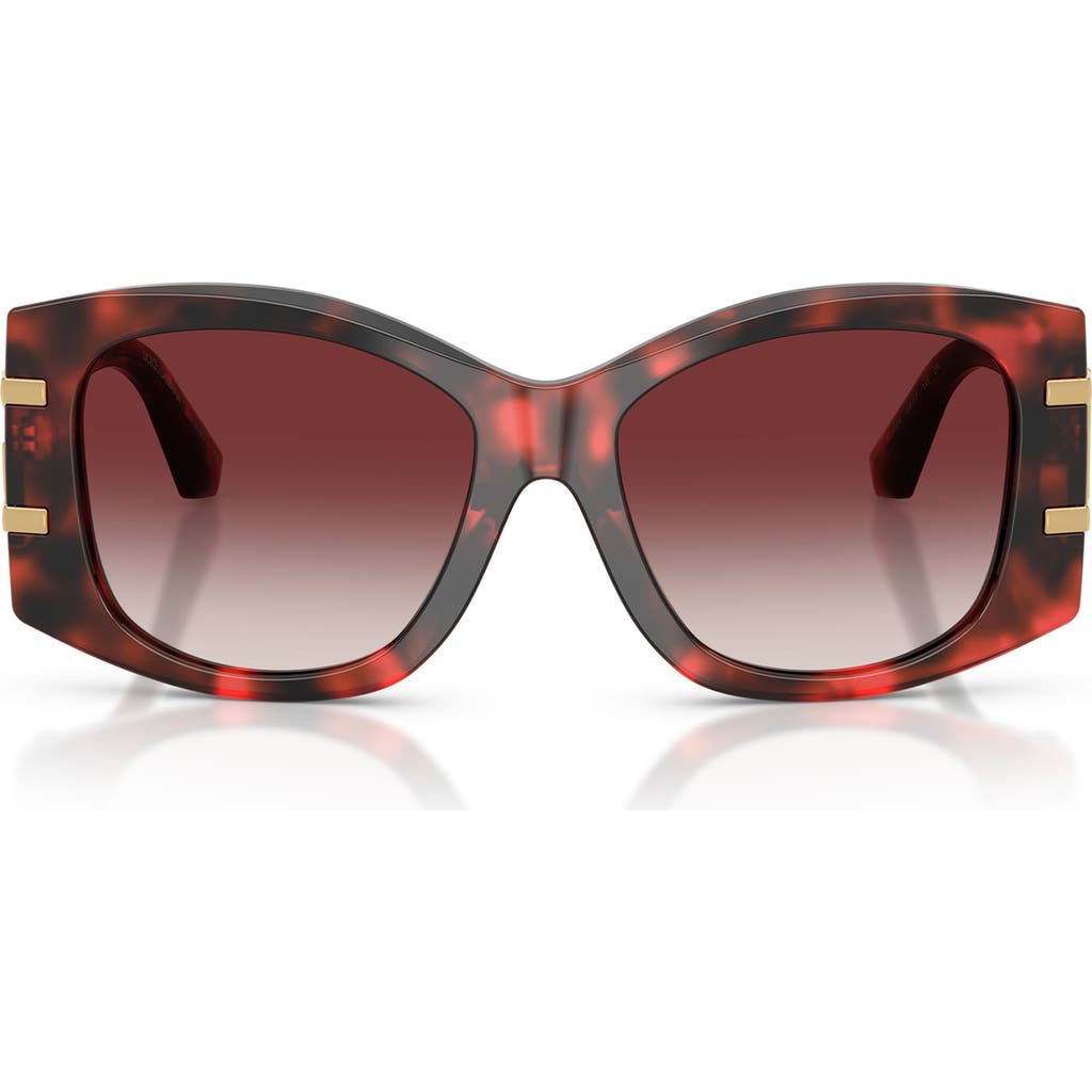 Dolce & Gabbana Dolce&gabbana 54mm Gradient Butterfly Sunglasses In Brown