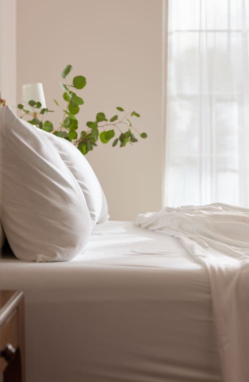Cozy Earth Set Of 2 Wrinkle Resistant Pillowcases In White