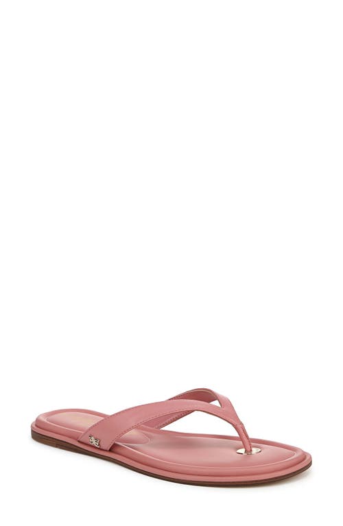 Sam Edelman Remi Leather Flip Flop Pink Lily Leather In Pink Lily