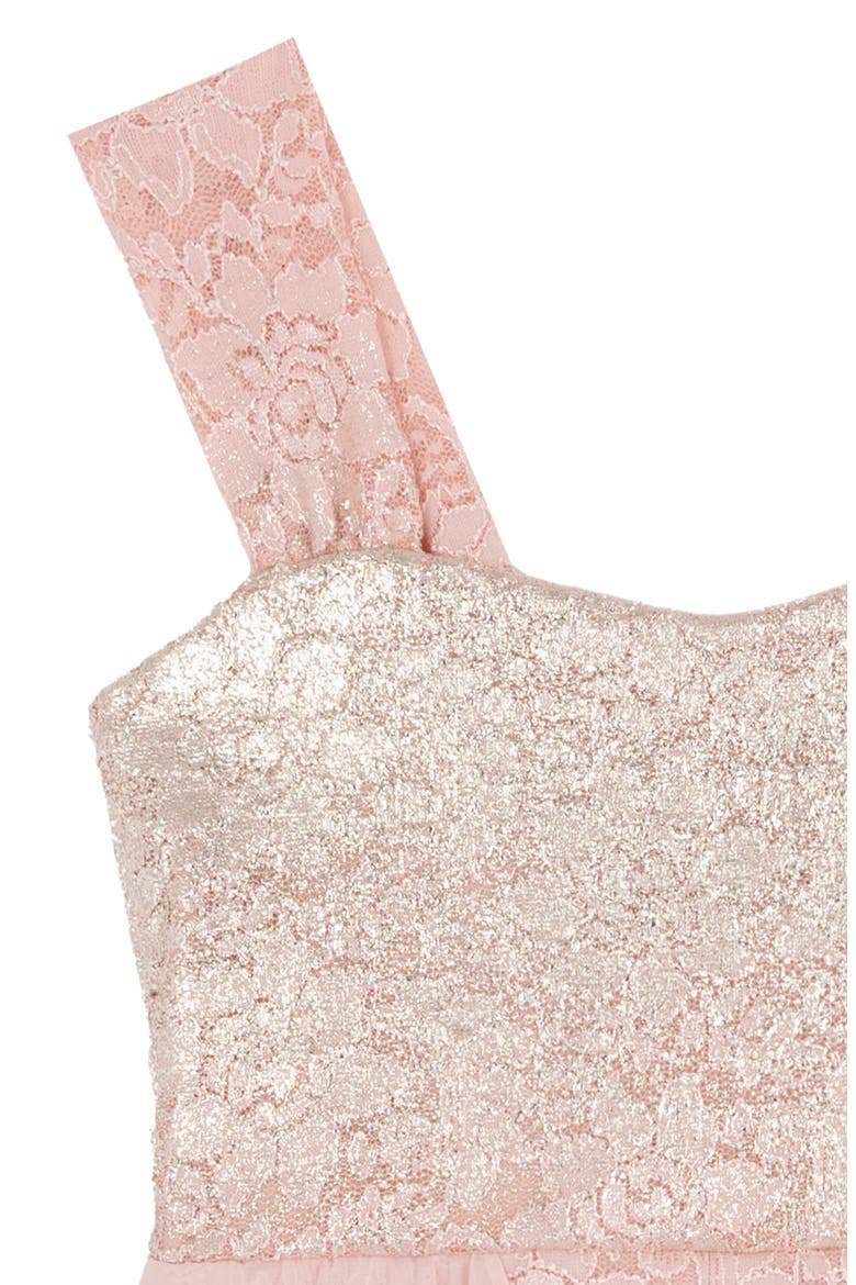 Kids' Floral Lace & Chiffon Dress, Alternate, color, BLUSH