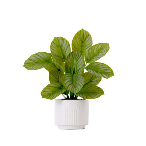 12-in Artificial Calathea Plant with Decorative Planter