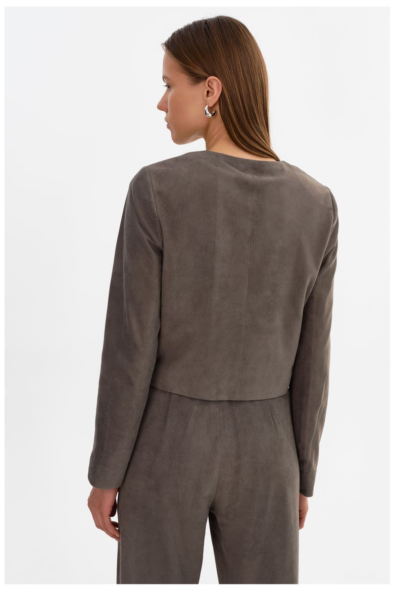 Linette S | Suede Jacket, Alternate, color, Streel Grey