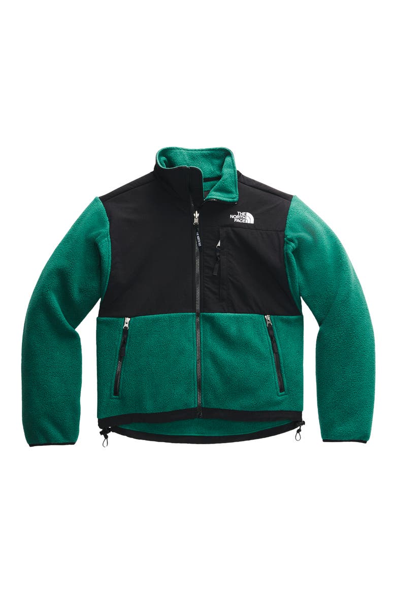 '95 Retro Denali Water Repellent Jacket, Alternate, color, EVERGREEN
