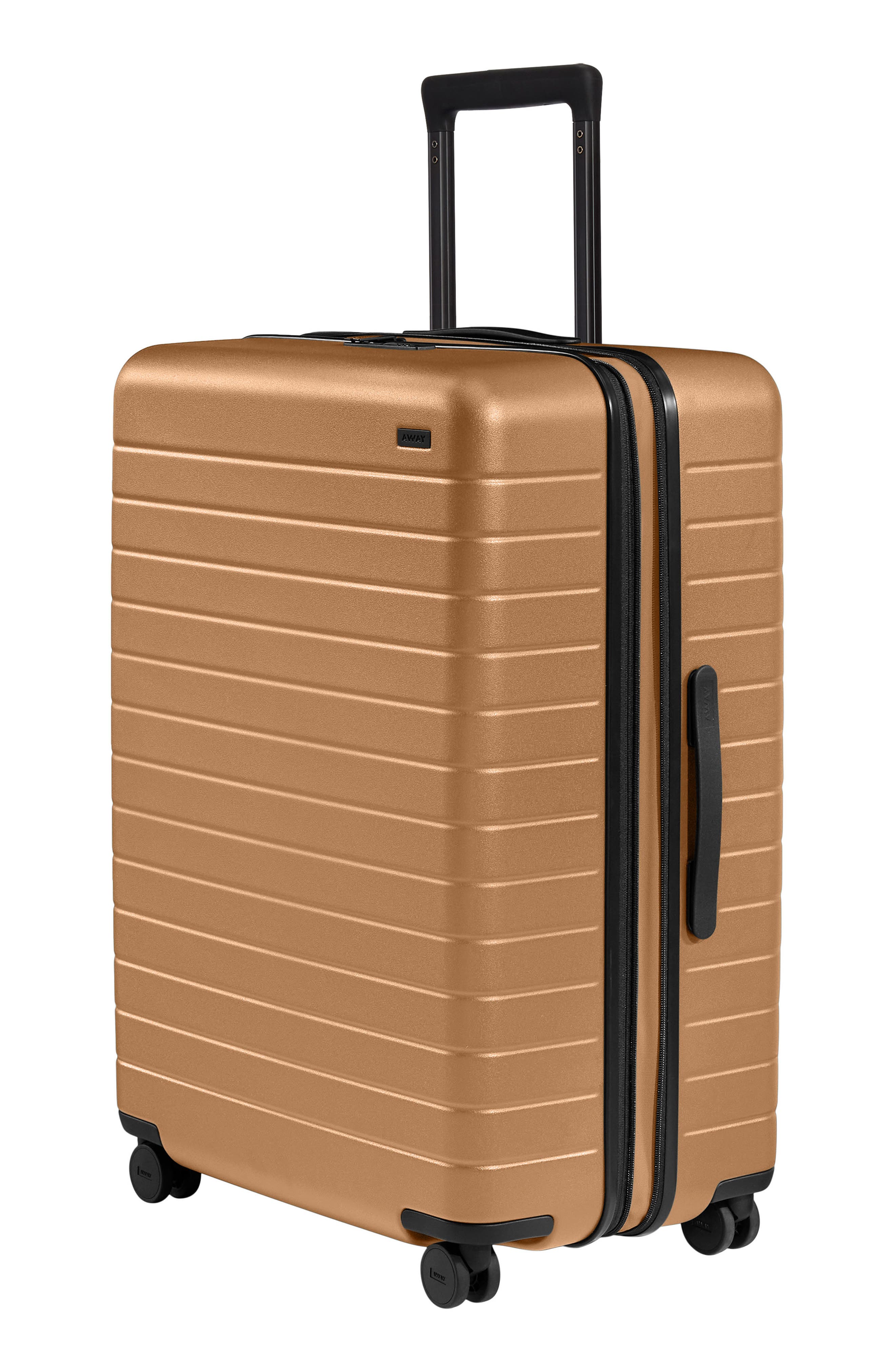 The Large Flex Hardshell Suitcase (Nordstrom Exclusive) (Women