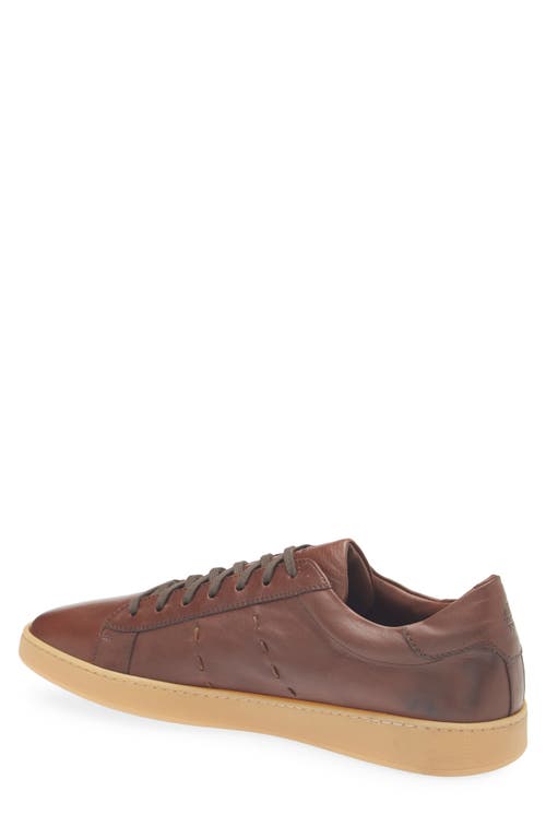 Eleventy Low Top Sneaker In Brown