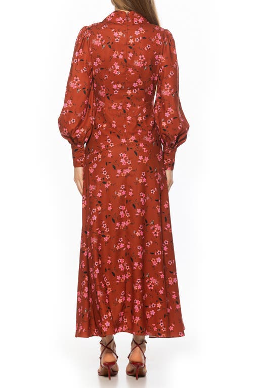 Alexia Admor Kate Collared Long Sleeve Maxi Dress In Brown