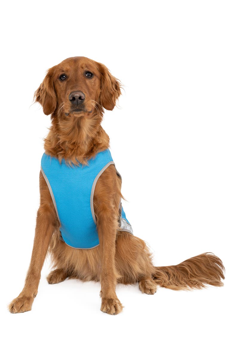 Chill Seeker Cooling Pet Vest, Alternate, color, BLUE