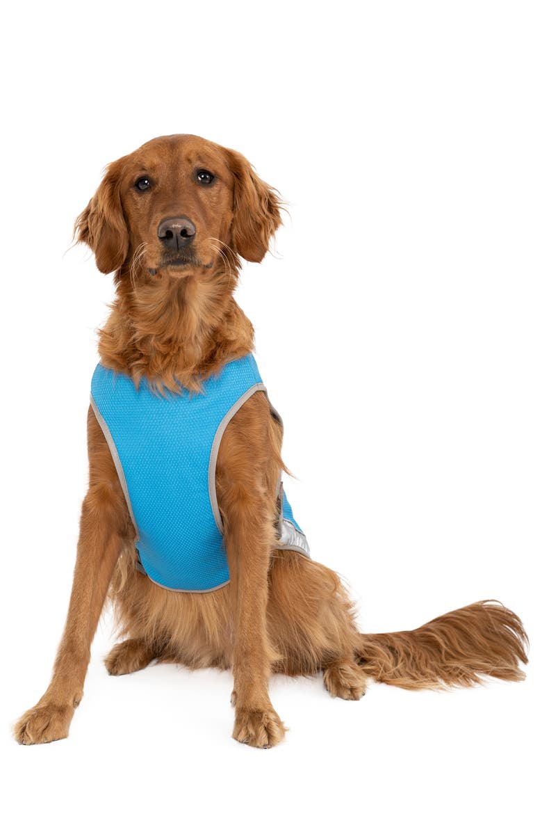 Canada Pooch Chill Seeker Cooling Pet Vest, Alternate, color, 