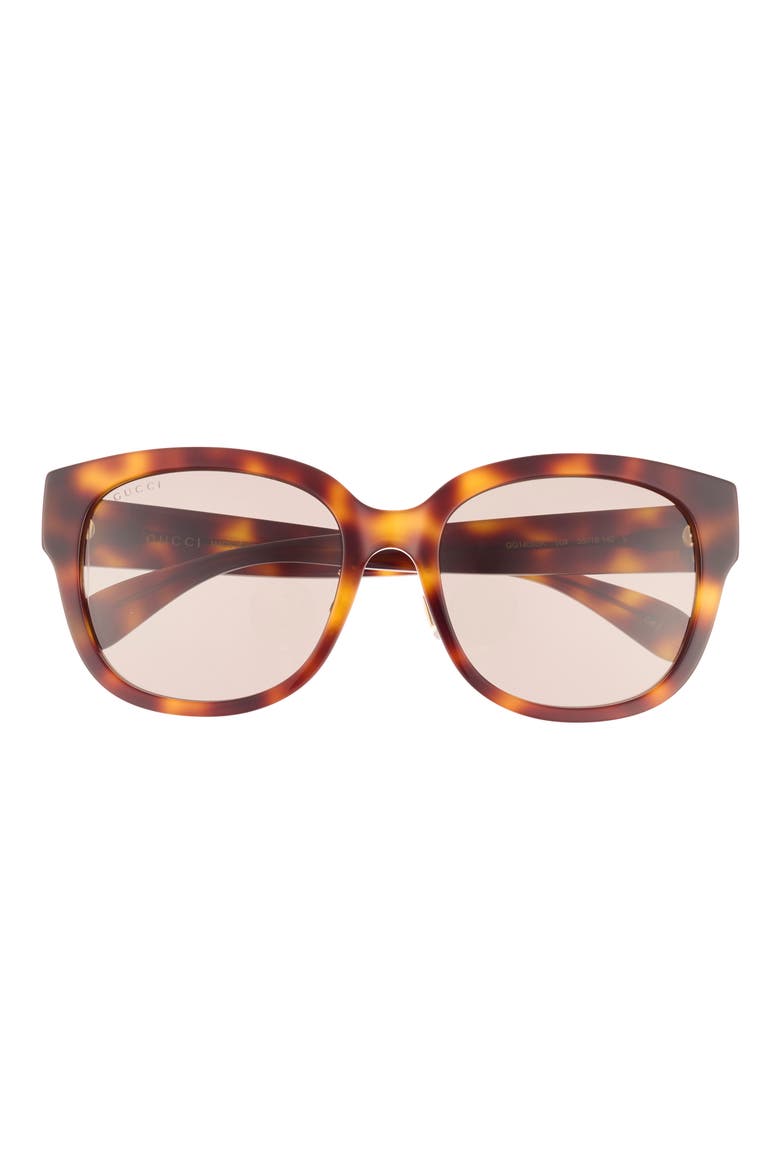 55mm Round Sunglasses, Main, color, HAVANA HAVANA BROWN