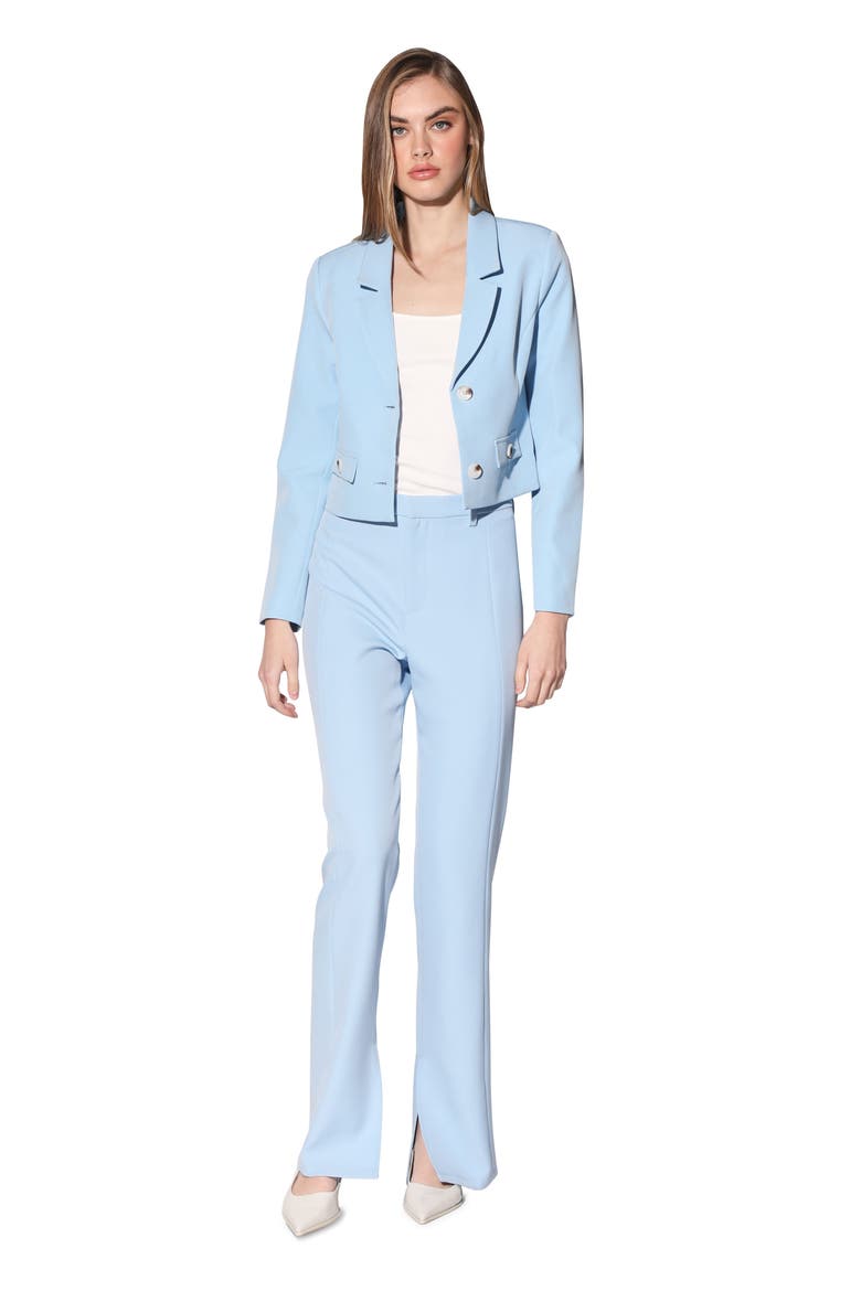 Joelle Blazer Jacket, Alternate, color, BABY BLUE