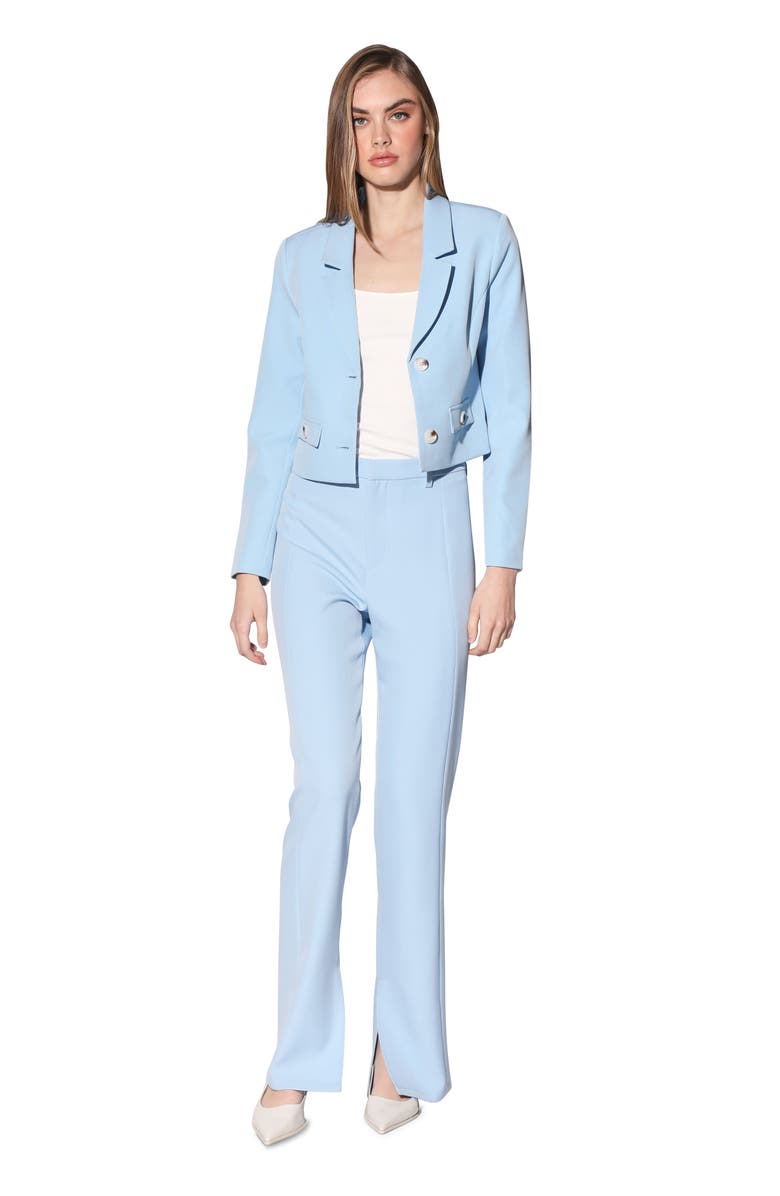 Walter Baker Joelle Blazer Jacket, Alternate, color, Baby Blue