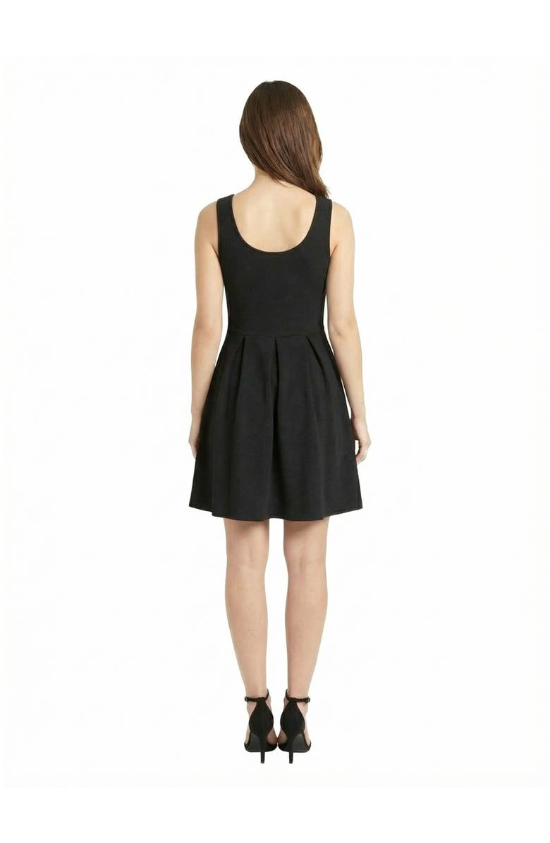 24seven Comfort Apparel Essential Petite Scoop Neck Sleeveless Pleated Knee Length Pocket Fit N Flare Dress, Alternate, color, Black