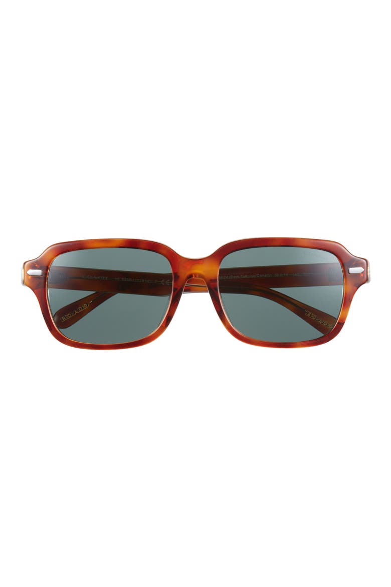 56mm Square Sunglasses, Main, color, GREEN TORT