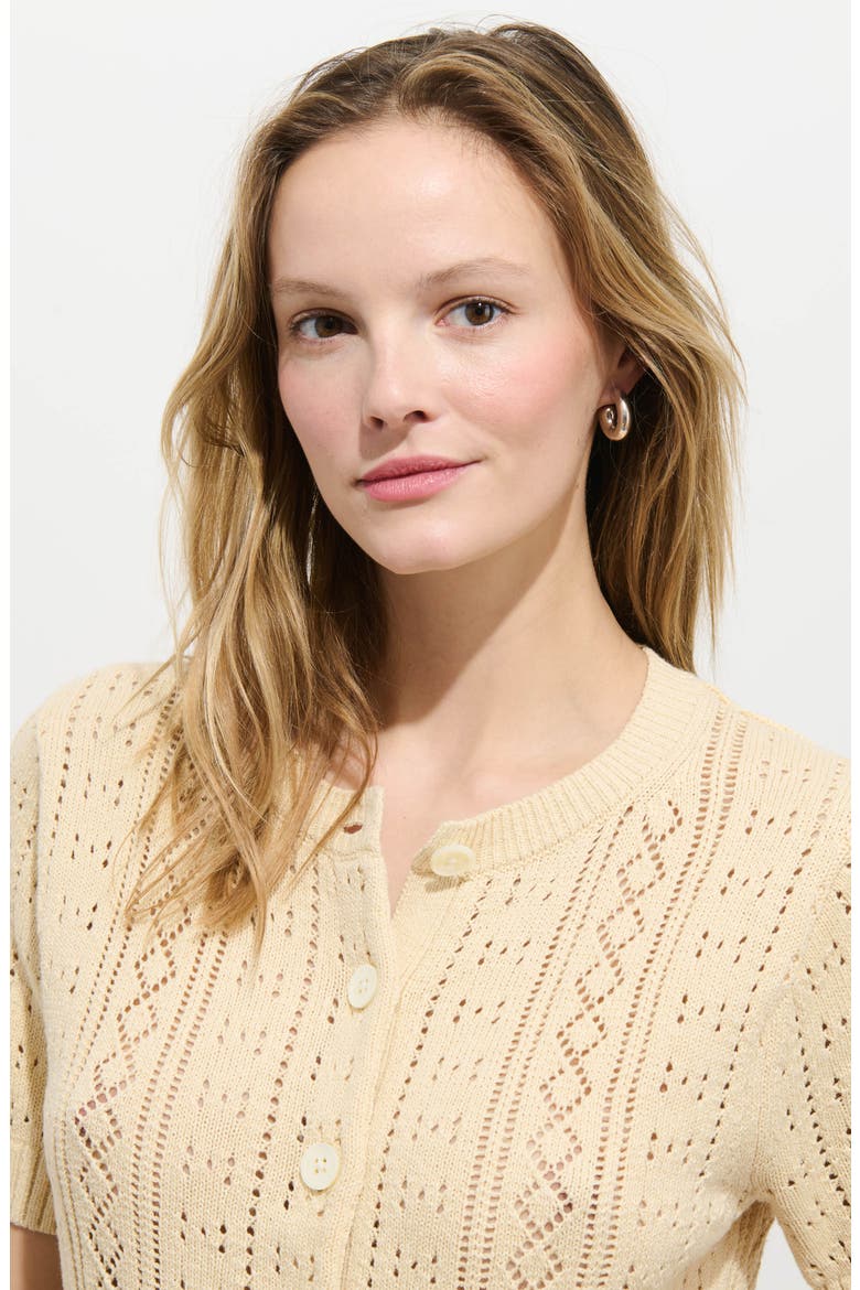 Elle Pointelle Cardigan, Alternate, color, CREAM