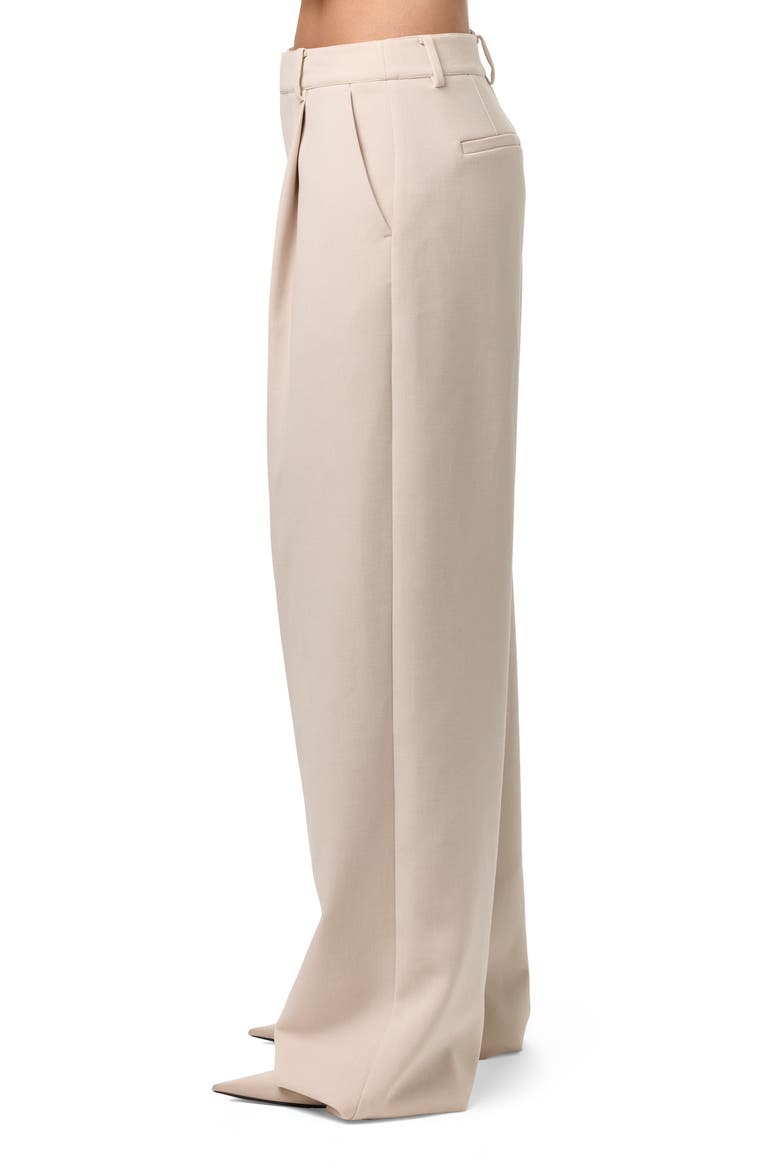 Pleated Wide Leg Pants, Alternate, color, MELANGE BEIGE