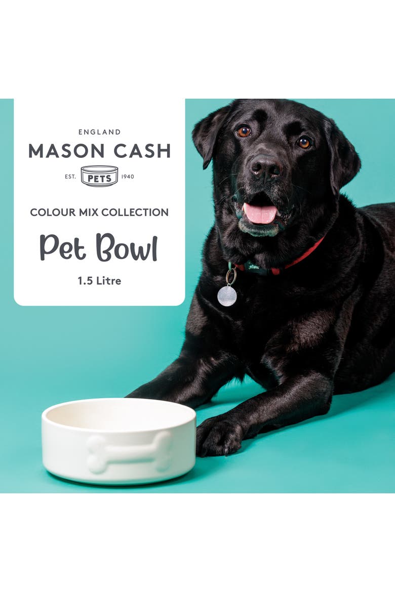 Embossed 8 Inch Bone Dog Food and Water Bowl, Alternate, color, Multicolored