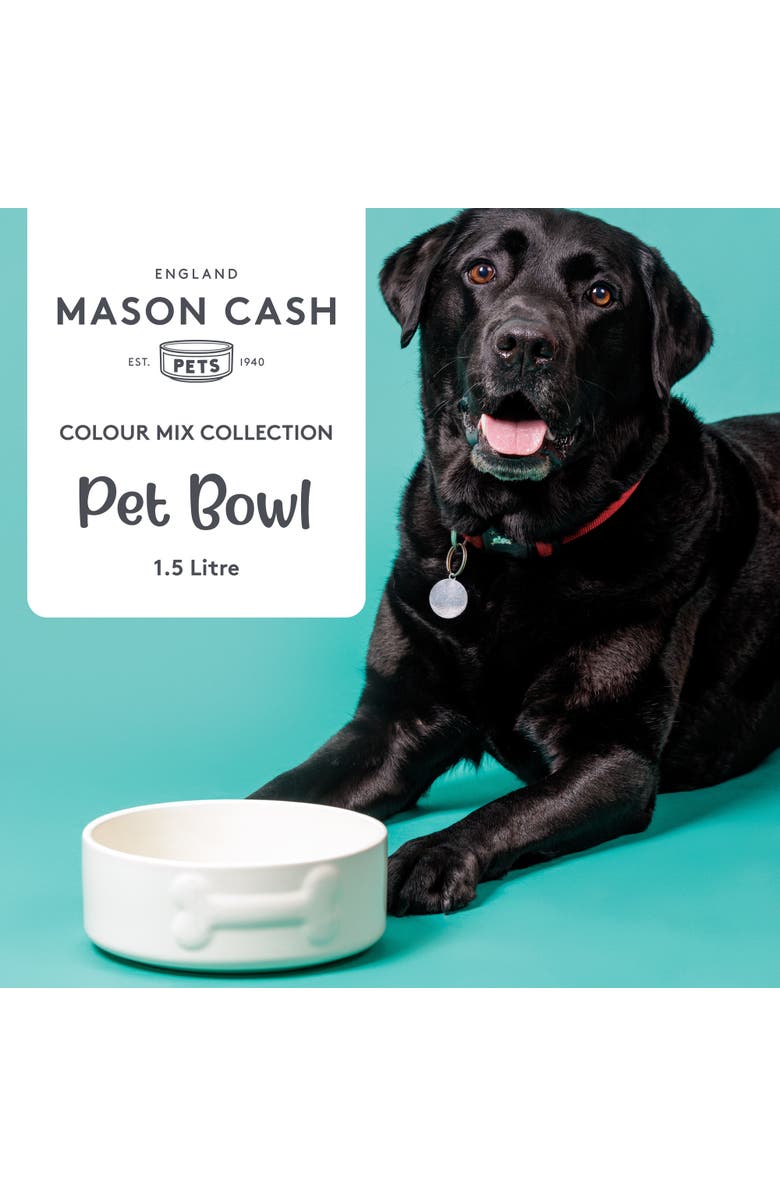 MASON CASH Embossed 8 Inch Bone Dog Food and Water Bowl, Alternate, color,