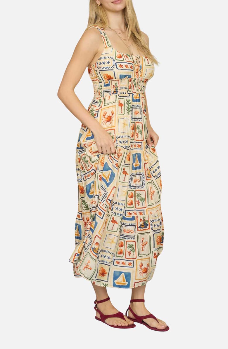 Blu Pepper Mixed Print Sleeveless Maxi Dress, Alternate, color,