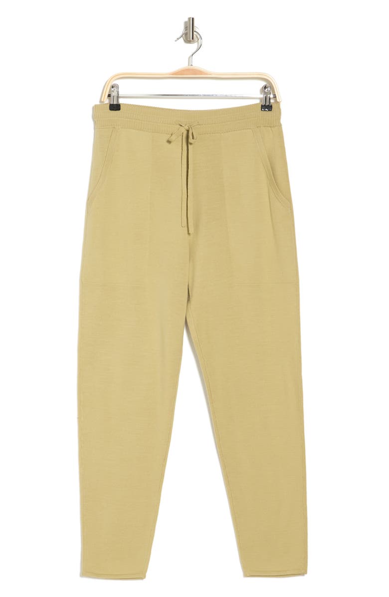 St. John Collection Wool Blend Drawstring Pants, Alternate, color, 