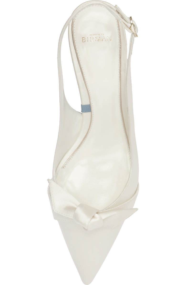 Alexandre Birman Clarita Classic Pointed Toe Slingback Pump, Alternate, color,
