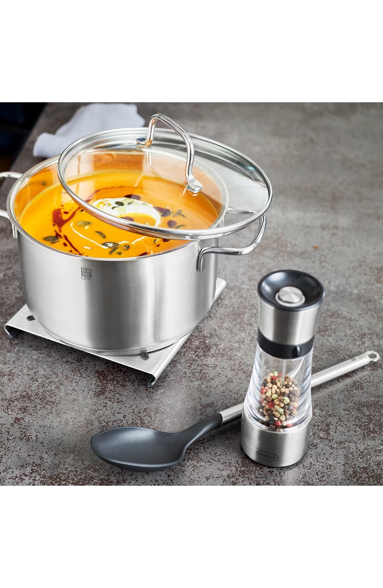 Rosle 7.1 Inch Stainless Steel and Acrylic Adjustable Spice Mill, Alternate, color, Silver