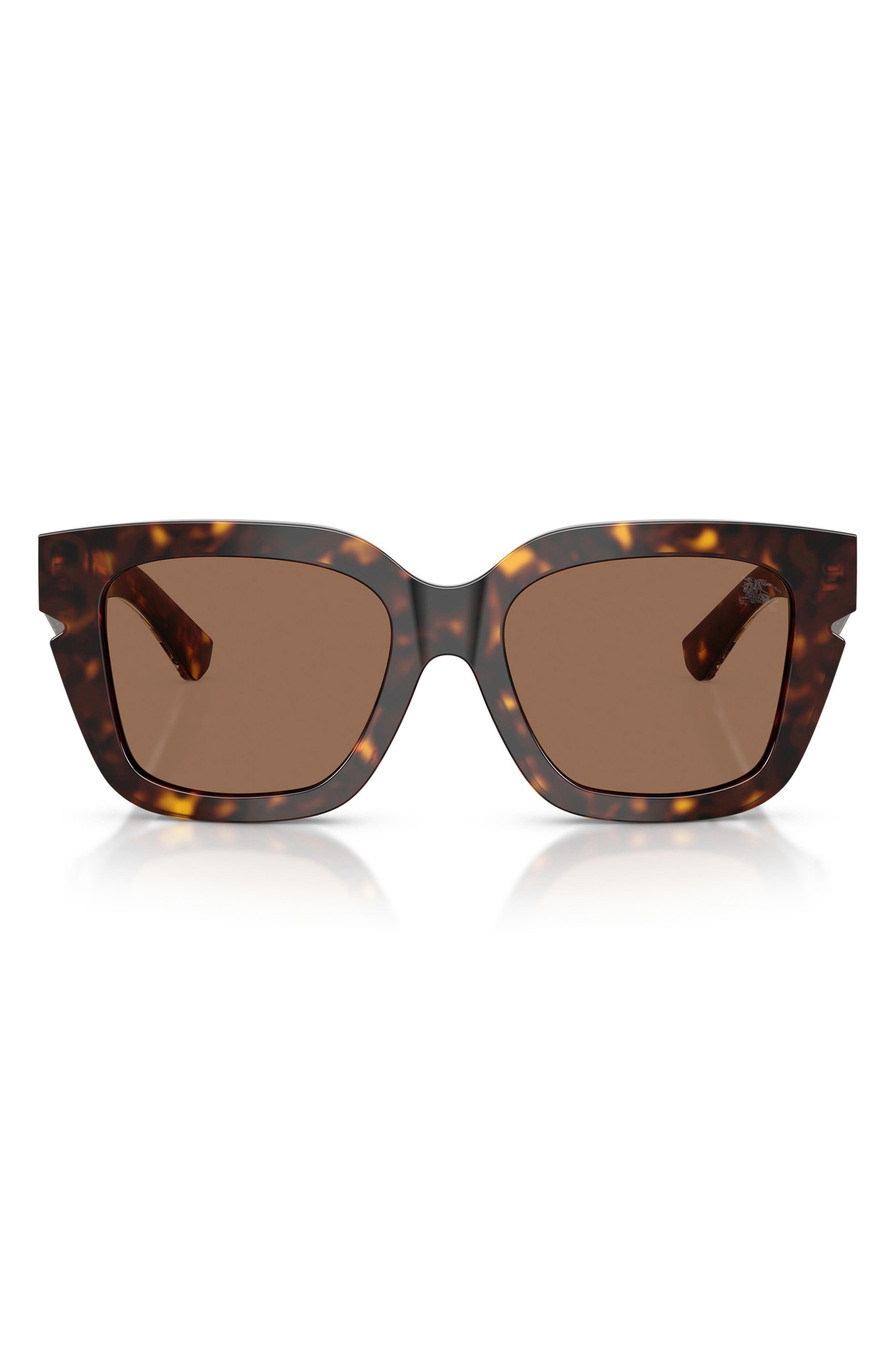 DARK HAVANA/DARK BROWN