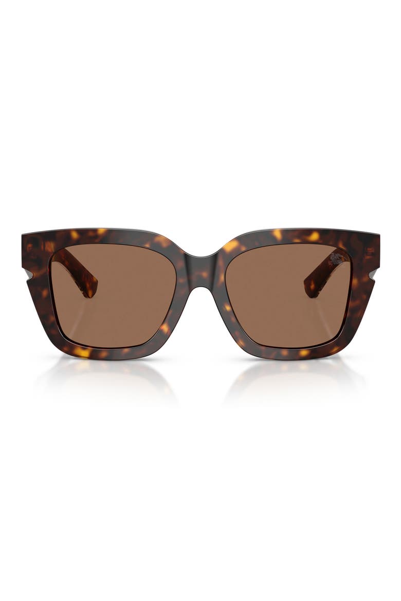 54mm Square Sunglasses, Main, color, DARK HAVANA/DARK BROWN