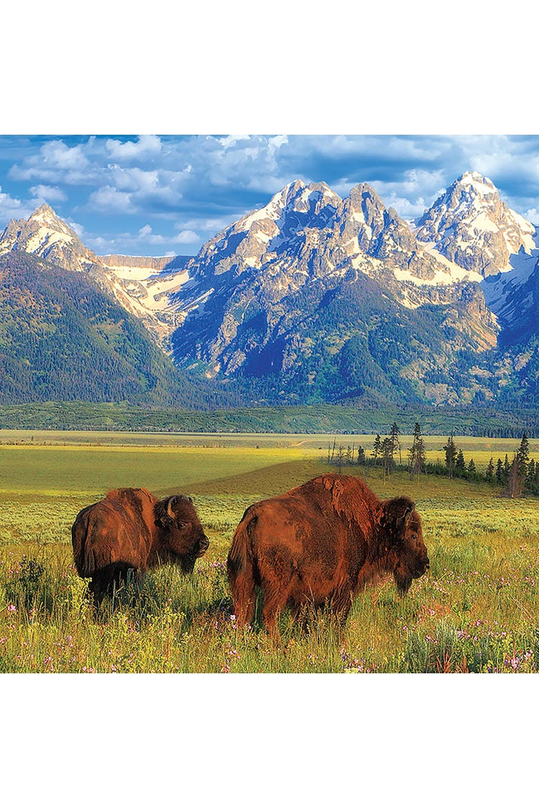 Grand Teton National Park Puzzle, 1000 Pieces, Alternate, color, Multicolored