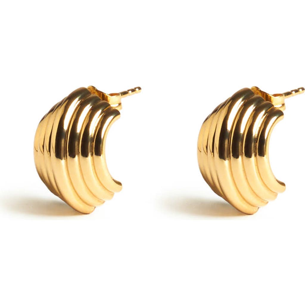 Zarux Golden Aura Earrings In Gold