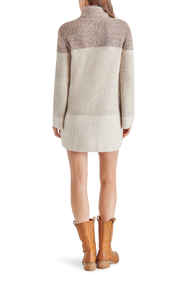 Steve Madden Meghan Colorblock Long Sleeve Turtleneck Sweater Dress, Alternate, color, 