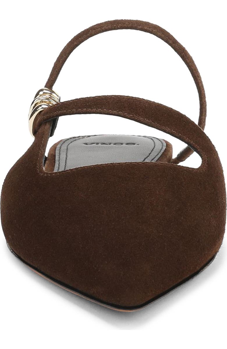 Vince Gilia Strappy Pointed Toe Flat Mule, Alternate, color, Clove-Ti