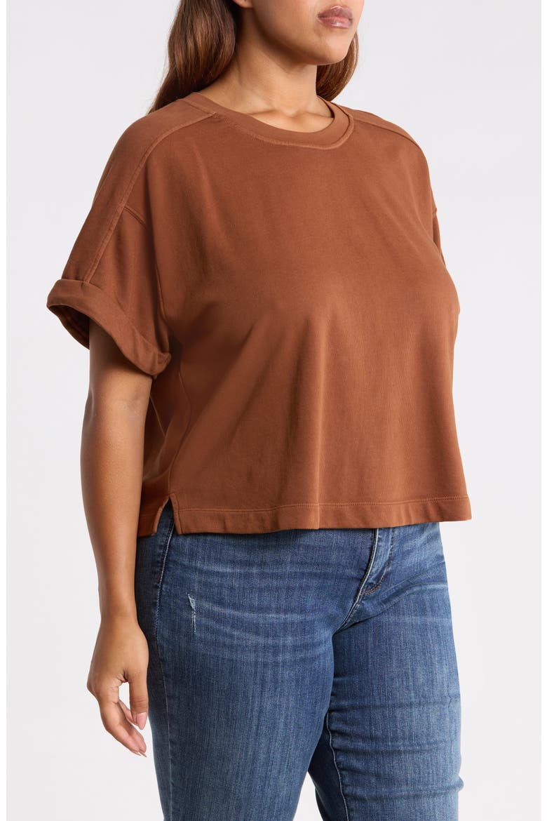 Brie Boxy Sweatshirt, Alternate, color, TAWNY