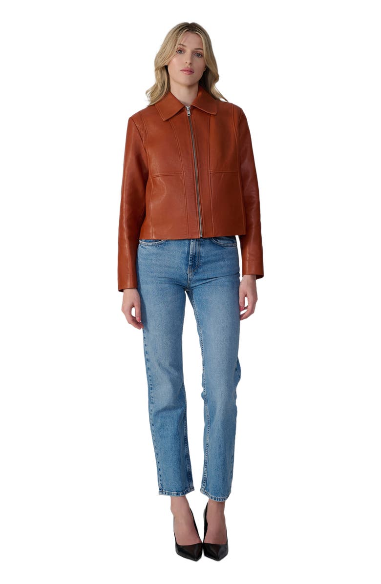 Furniq UK Daisy Leather Jacket, Main, color, Whiskey Brown