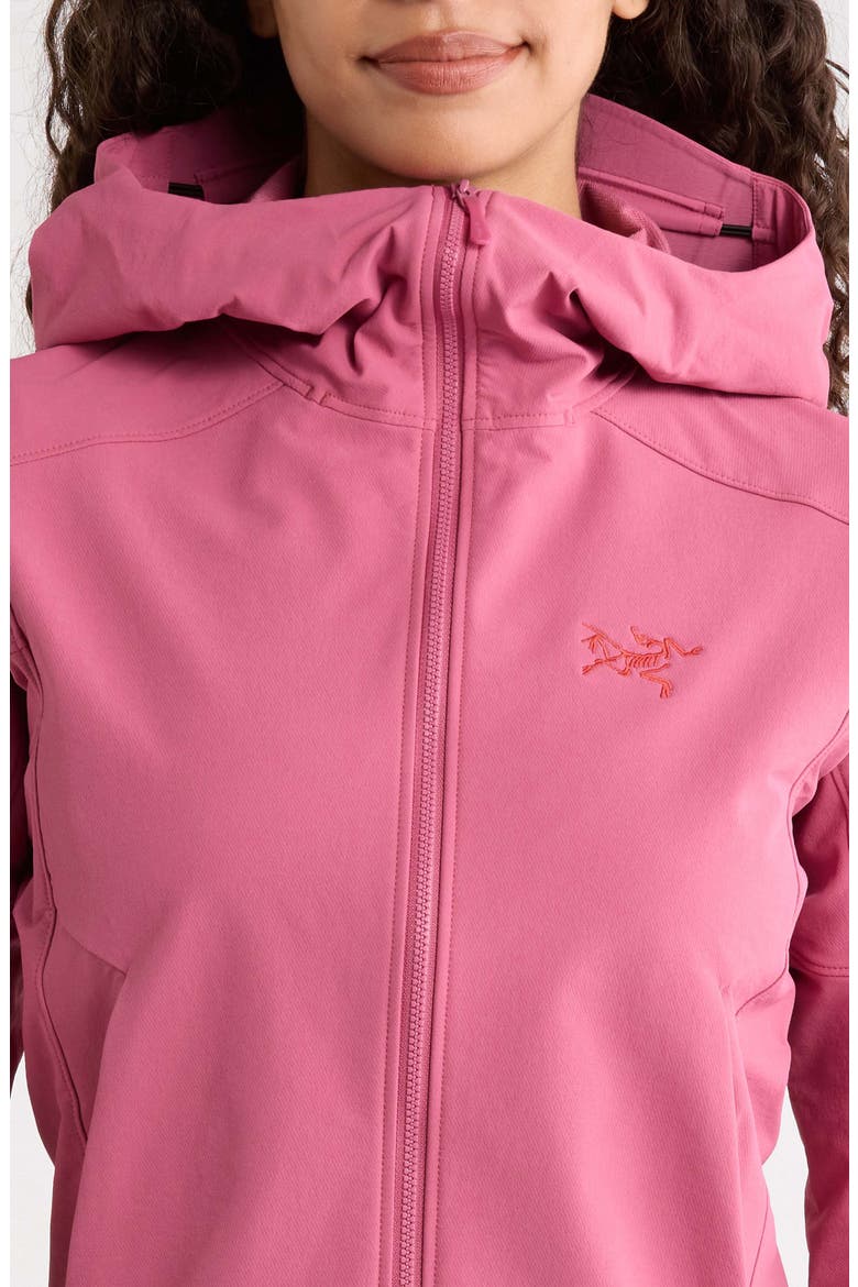 Gamma Performance Hoody, Alternate, color, RENEGADE