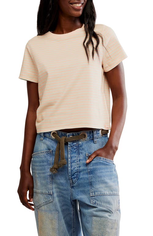 Free People Everyday Stripe Cotton T-shirt In Tropical Beach Combo